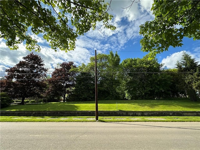 149 Jackson Ave, Bradford City, PA 16701 - photo 10