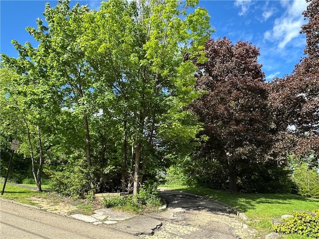149 Jackson Ave, Bradford City, PA 16701 - photo 15