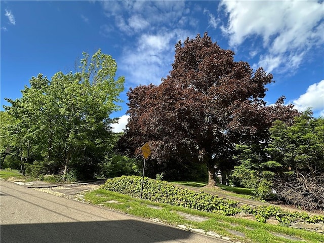 149 Jackson Ave, Bradford City, PA 16701 - photo 16