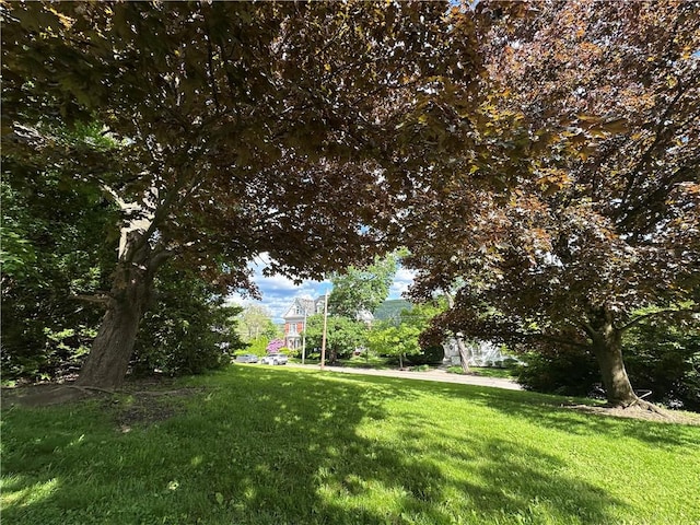 149 Jackson Ave, Bradford City, PA 16701 - photo 17