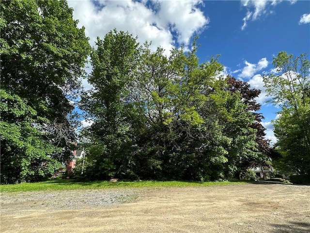149 Jackson Ave, Bradford City, PA 16701 - photo 22