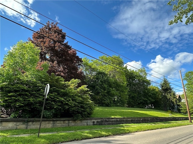149 Jackson Ave, Bradford City, PA 16701 - photo 2