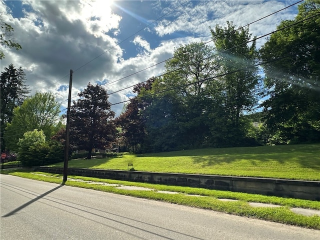 149 Jackson Ave, Bradford City, PA 16701 - photo 4