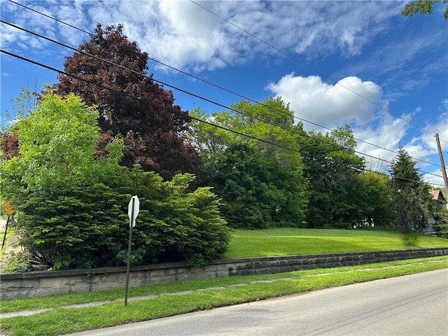 149 Jackson Ave, Bradford City, PA 16701 - photo 5