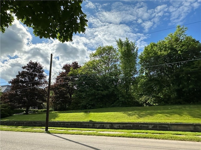 149 Jackson Ave, Bradford City, PA 16701 - photo 6