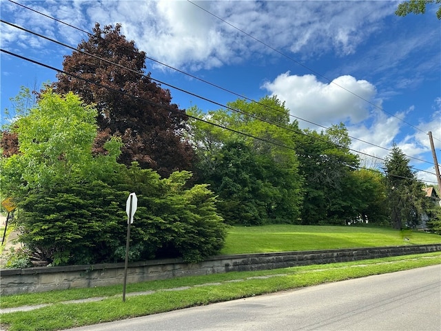 149 Jackson Ave, Bradford City, PA 16701 - photo 31