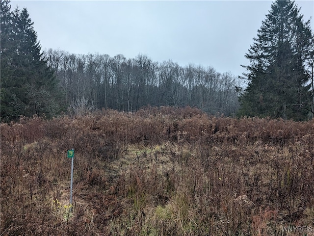 7739 Jackson Rd, Franklinville NY, 14737 land for sale