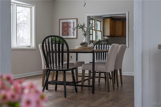 dining area featuring dark wood-type flooring