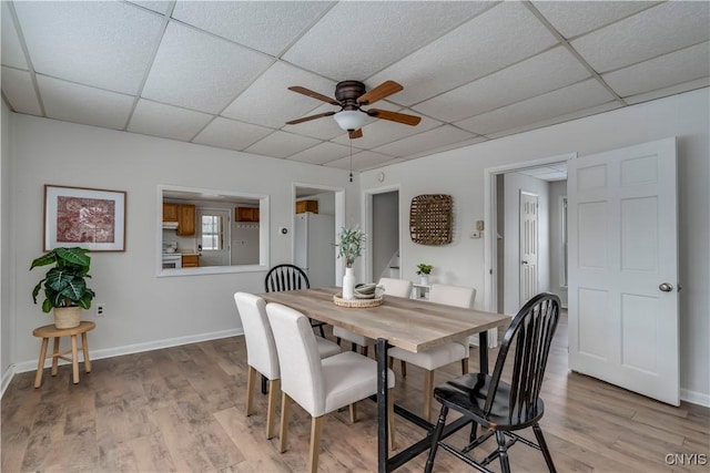 dining area with ceiling fan and light hardwood / wood-style flooring