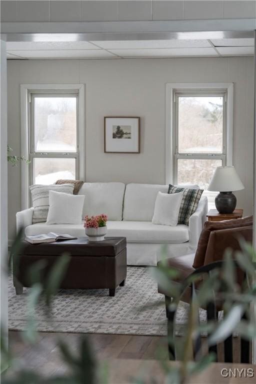 living room with plenty of natural light