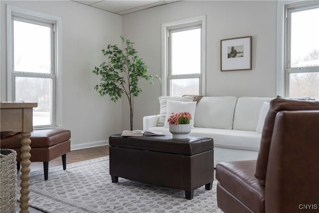 living room featuring a wealth of natural light and light wood-type flooring