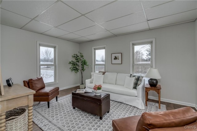 living room featuring a drop ceiling and wood-type flooring