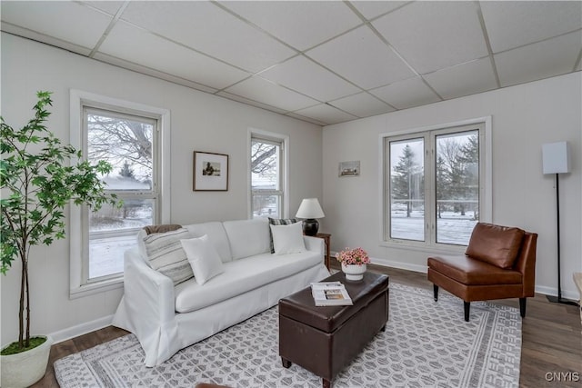 living room featuring a paneled ceiling, hardwood / wood-style flooring, and plenty of natural light