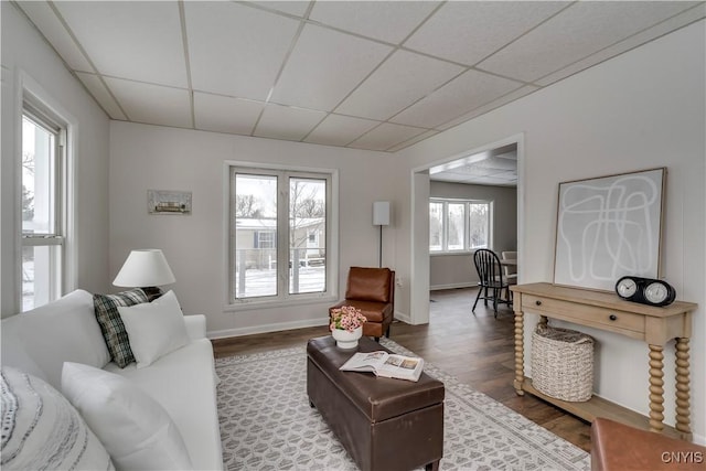 living room with a paneled ceiling and wood-type flooring