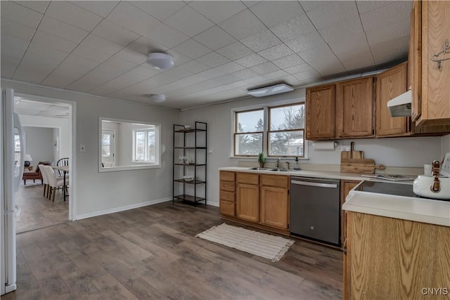 kitchen with sink, stainless steel dishwasher, and dark hardwood / wood-style floors