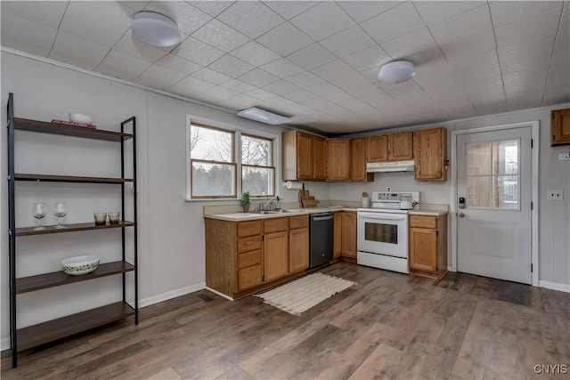 kitchen with electric range, dishwasher, dark hardwood / wood-style floors, and sink