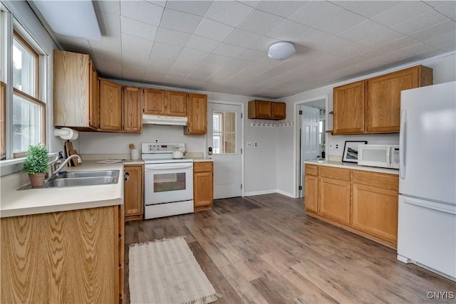 kitchen featuring sink, white appliances, and light wood-type flooring