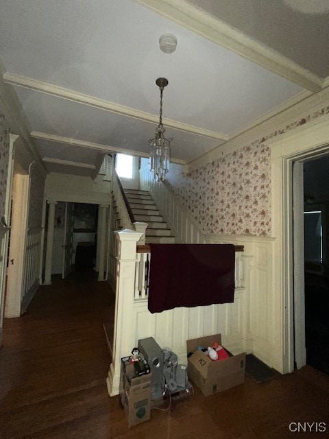 unfurnished dining area featuring dark hardwood / wood-style floors and a notable chandelier