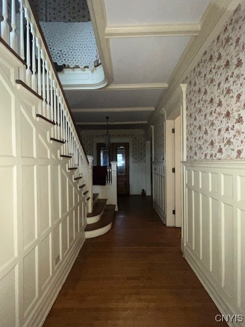 hallway featuring dark wood-type flooring and ornamental molding