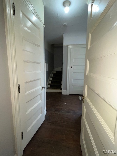 corridor featuring dark hardwood / wood-style flooring