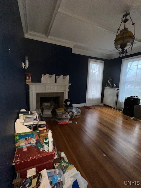 living room featuring radiator and hardwood / wood-style flooring