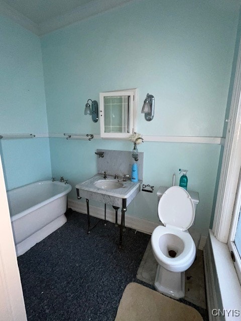 bathroom with toilet, a bathtub, and sink