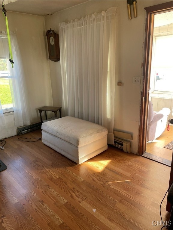 bedroom featuring hardwood / wood-style floors