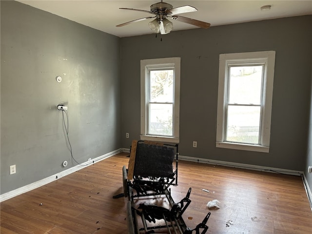 exercise area featuring a wealth of natural light, ceiling fan, and light hardwood / wood-style floors