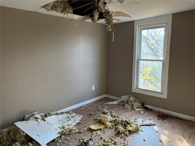 spare room with wood-type flooring