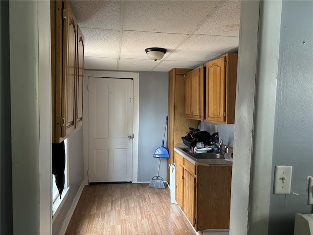 kitchen with light wood-type flooring, a drop ceiling, and sink