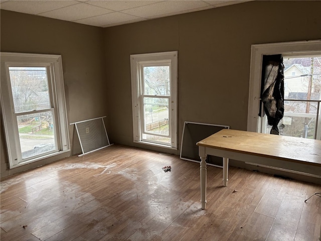 unfurnished office featuring plenty of natural light, a drop ceiling, and light wood-type flooring