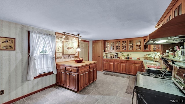 kitchen with a barn door and sink