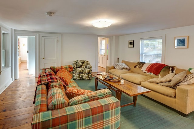 living room featuring hardwood / wood-style flooring