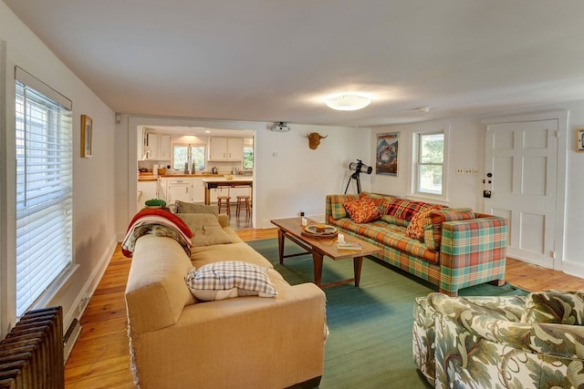 living room with light hardwood / wood-style flooring