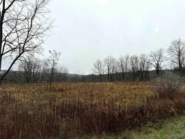 Town Line Rd, Gerry NY, 14701 land for sale