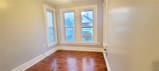 doorway to outside featuring wood-type flooring