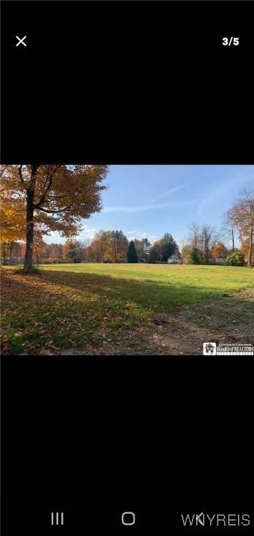 75 Schaefer Rd, West Seneca, NY 14218 - view of yard