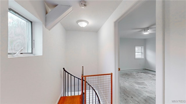 stairway with wood-type flooring, plenty of natural light, and ceiling fan