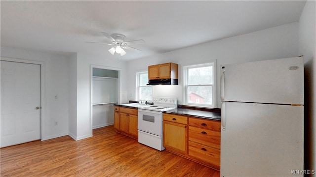 kitchen with ceiling fan, white appliances, sink, and light hardwood / wood-style flooring