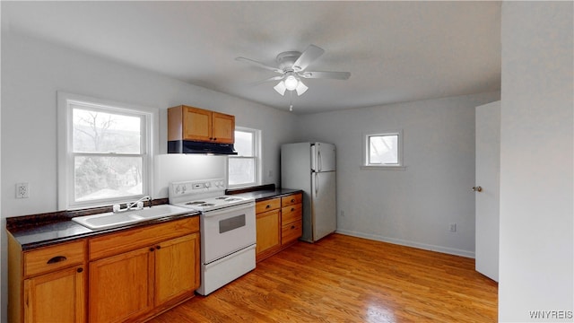 kitchen featuring light wood-type flooring, white appliances, ceiling fan, and sink