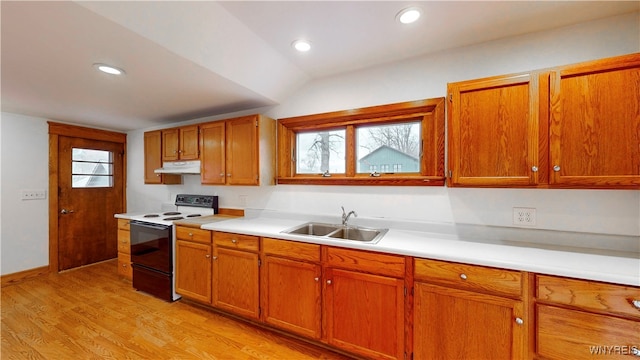 kitchen with electric range, light hardwood / wood-style flooring, plenty of natural light, and lofted ceiling