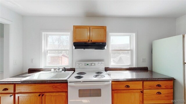 kitchen with white appliances, dark countertops, under cabinet range hood, and a sink