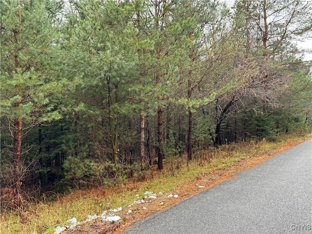 LOT1 Beaver Trl, Boonville, NY 13301 - photo 6