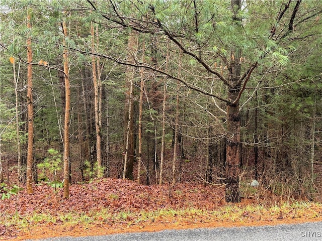 LOT1 Beaver Trl, Boonville, NY 13301 - photo 7