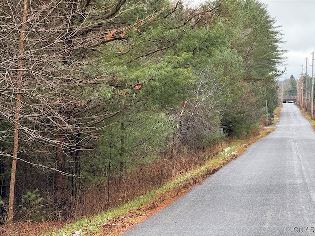 LOT1 Beaver Trl, Boonville, NY 13301 - photo 8
