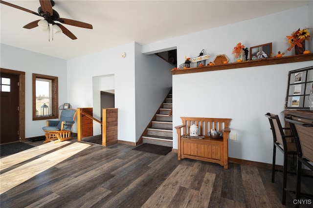 entryway featuring ceiling fan and dark hardwood / wood-style flooring