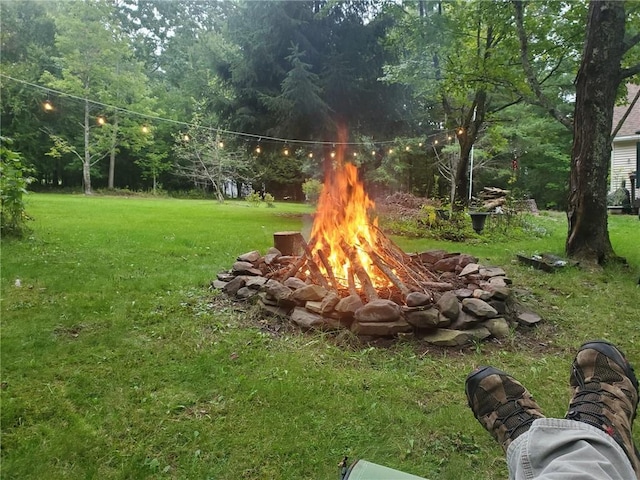 1937 Gibson Hill Rd, Franklin, NY 13775 - photo 47