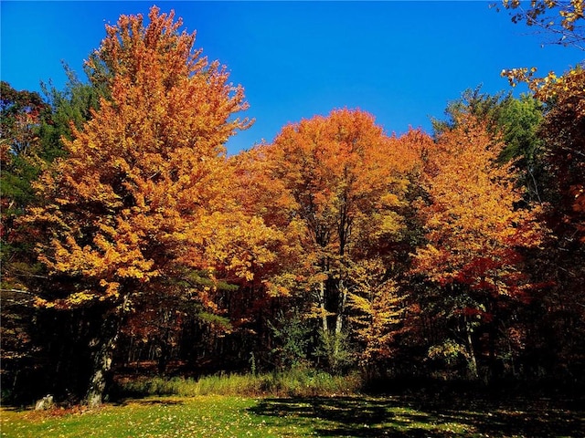 1937 Gibson Hill Rd, Franklin, NY 13775 - photo 49