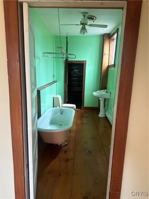 bathroom featuring hardwood / wood-style floors and ceiling fan