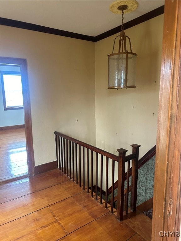 stairs featuring hardwood / wood-style floors and ornamental molding